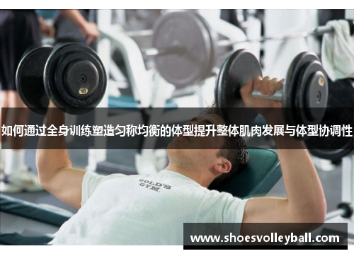 如何通过全身训练塑造匀称均衡的体型提升整体肌肉发展与体型协调性