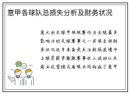 意甲各球队总损失分析及财务状况